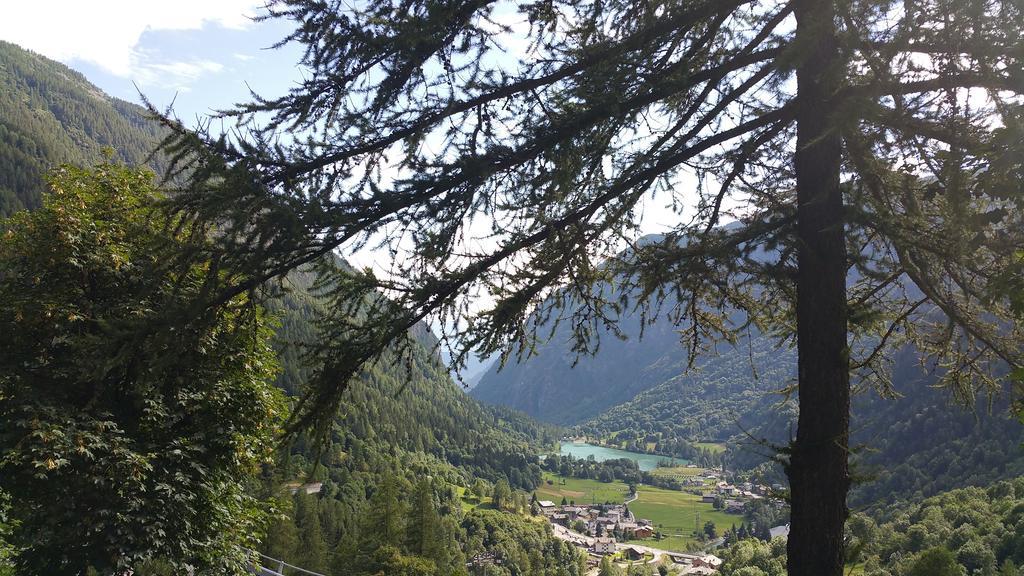 Maisongorret Valtournenche Exteriér fotografie